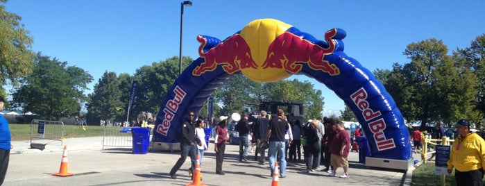 Red Bull Flugtag Chicago is one of Like it.