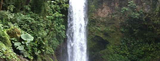 La Paz Waterfall Gardens is one of San José, Costa Rica.