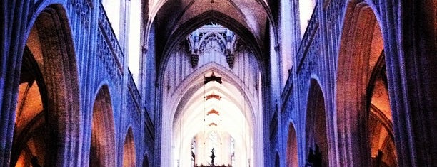 Onze-Lieve-Vrouwekathedraal is one of Antwerp.