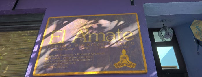 El Amate is one of Soni’s Liked Places.