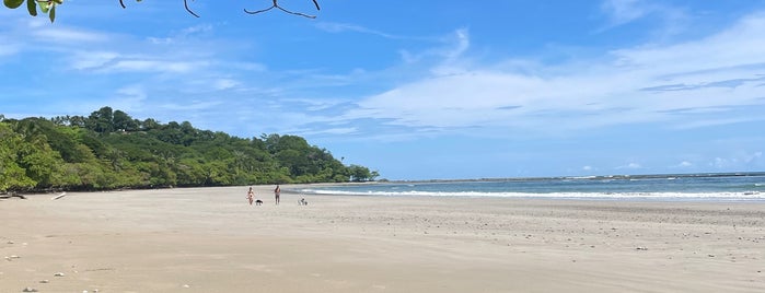 Playa Manzanillo is one of Santa Teresa / Costa Rica Spots.