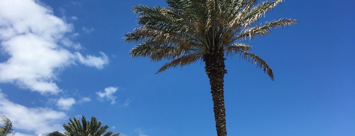 Eau Palm Beach Resort & Spa is one of Orte, die John gefallen.
