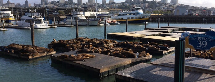Pier 39 is one of 100 SF Things to Do before you Die.