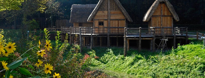 Unesco - Prehistoric Pile dwellings around the Alps is one of UNESCO World Heritage Sites in Italy.