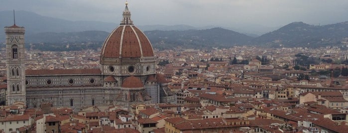 Palacio Viejo is one of Firenze.