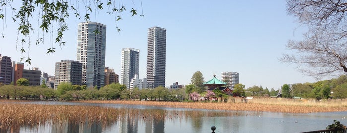 Shinobazu Pond is one of สถานที่ที่ Masahiro ถูกใจ.