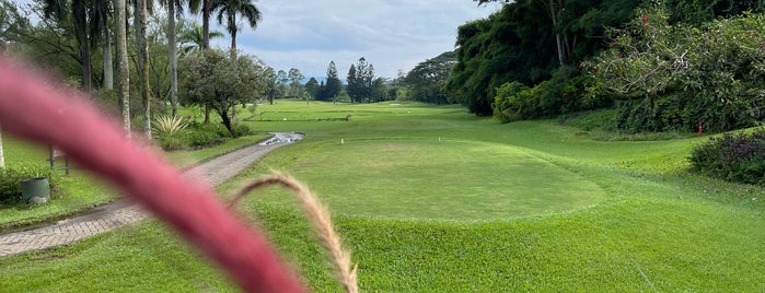 Palm Hills Golf & Country Club is one of Golf Jabotabek.
