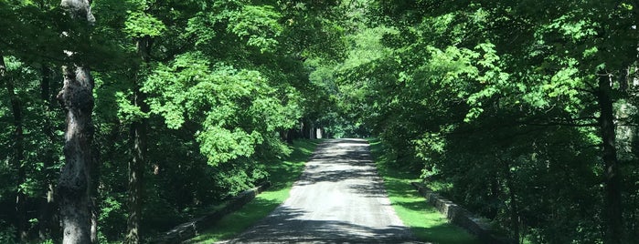 Montgomery Place Historic Estate is one of East Coast Sites - U.S..