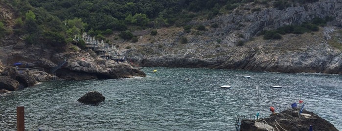 Cala Piccola is one of WILD PINES SEA.