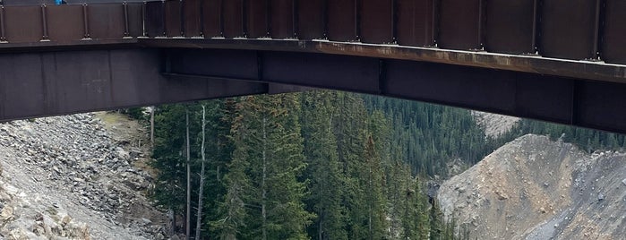 Glacier Skywalk is one of Heloisa : понравившиеся места.