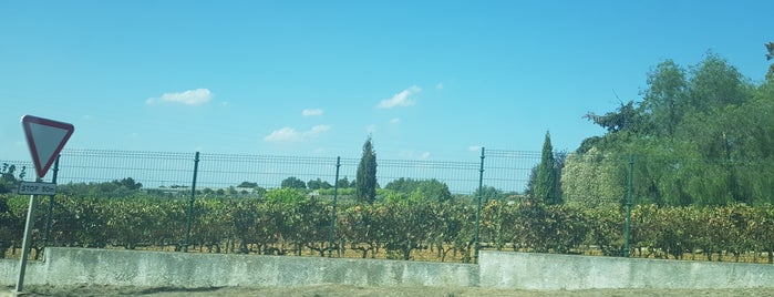 Estremoz is one of Cities in Portugal and Galicia.