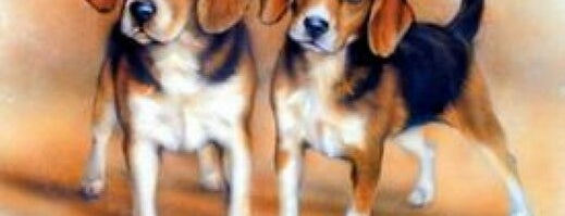 Moyer Beagles is one of Frequent Places.
