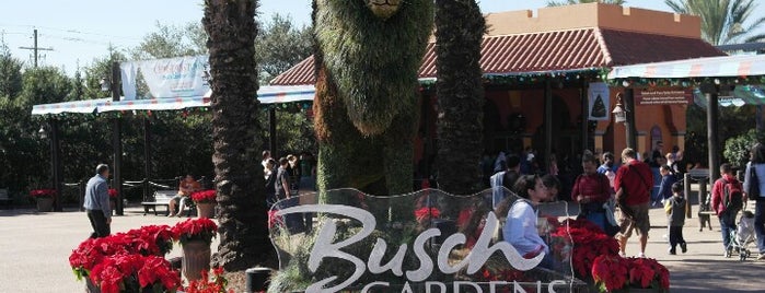 Busch Gardens Tampa Bay is one of Florida.