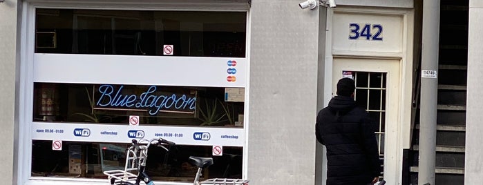 Blue Lagoon is one of Marijuana Dispensaries of Amsterdam 🇳🇱.