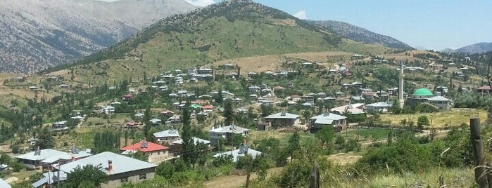 çeralan köyü is one of Lugares favoritos de Sadık.