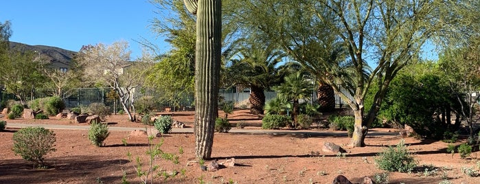 Acacia Park is one of The 15 Best Places for Dog Park in Las Vegas.