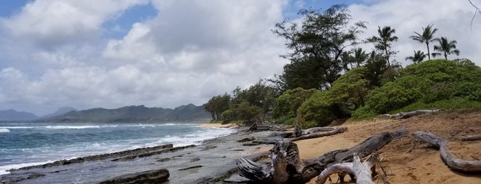 The Beach is one of Tempat yang Disukai Kauai therapeutic massage.