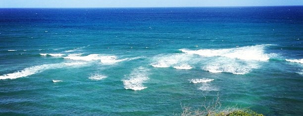 Diamond Head Beach is one of My Favorite Places.