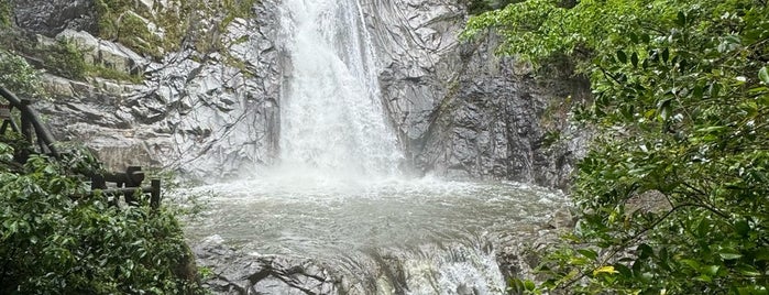 布引の滝 (雄滝) is one of 見物スポット.