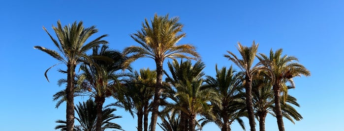 Playa de la Vila Joiosa is one of All-time favorites in Spain.