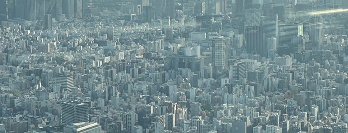Tokyo Skytree Tembo Deck is one of 展望台.
