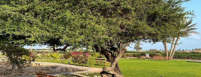 Frankincense Museum is one of Golf.