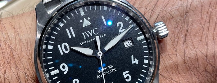 IWC is one of Genève & Suisse.