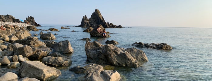 Spiaggia di Renà is one of Lugares favoritos de Luca.