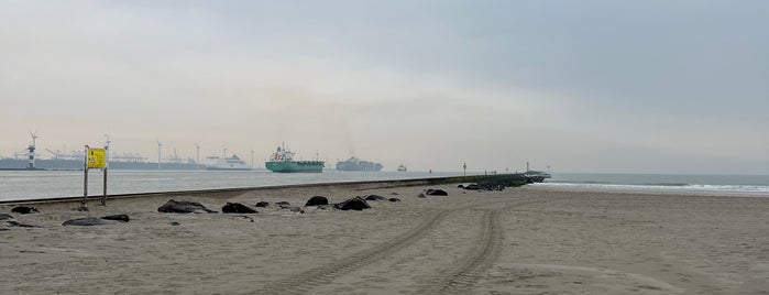 Pier is one of Hoek van Holland / Maasvlakte 🇳🇬.
