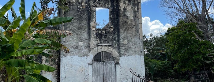 Cenote LOL-HA is one of Locais salvos de Kimmie.