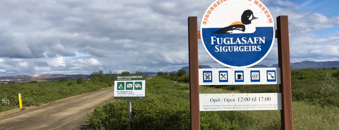 Fuglasafn Sigurgeirs is one of Iceland.