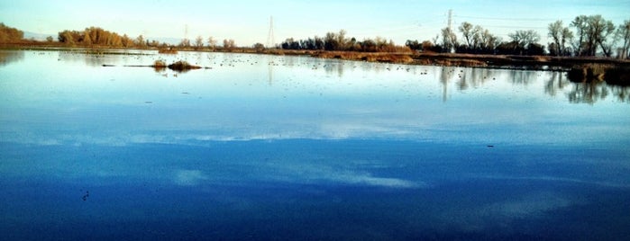 Colusa National Wildlife Refuge is one of LeeAnn’s Liked Places.