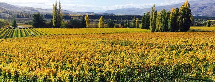 Felton Road Winery is one of New Zealand.