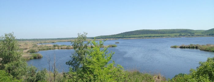 Резерват Сребърна (Srebarna Nature Reserve) is one of Places to visit.