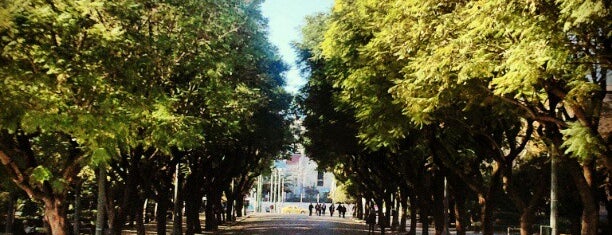 Zappeion Gardens is one of Spiridoulaさんのお気に入りスポット.