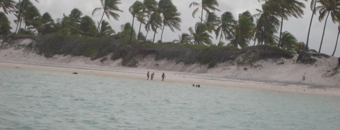 Praia de Muro Alto is one of Porto de Galinhas, Brasil.