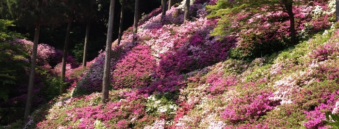 Daikozenji is one of 観光 行きたい.