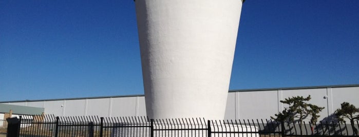 Worlds Largest Paper Cup is one of World's Largest ____ in the US.