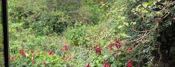 Villa Pacandé is one of Costa Rica.