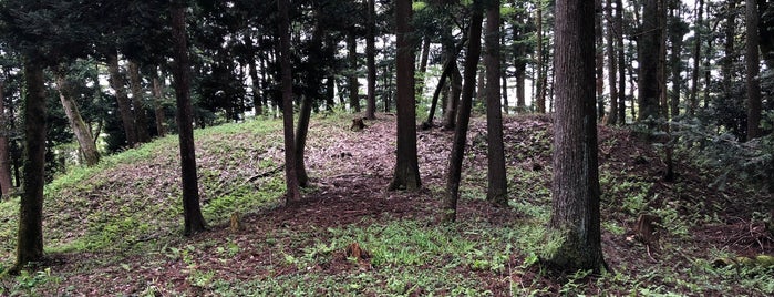 古墳公園とりや is one of 東日本の古墳 Acient Tombs in Eastern Japan.