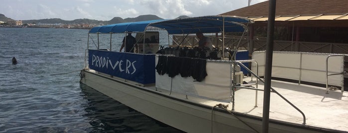 Pro-Divers Inc. is one of Locais curtidos por David.