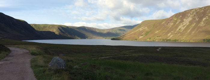 Loch Muick is one of Parks.