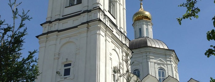 Храм Рождества Пресвятой Богородицы is one of Тула.