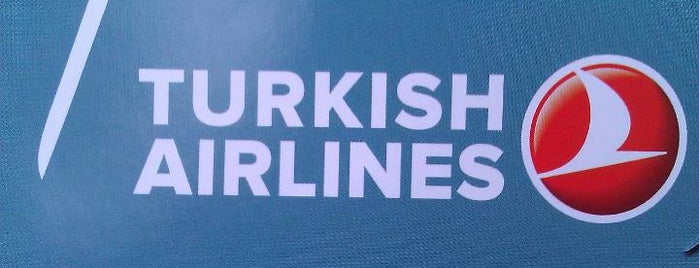 THY Turkish Airlines | თურქეთის ავიახაზები is one of The places I've been mayor....