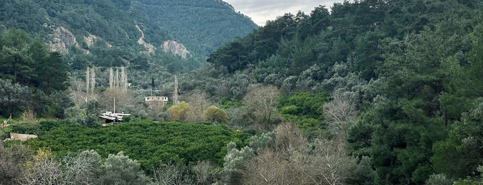 Balçova Terapi Ormanı is one of Lugares guardados de Ozgur.