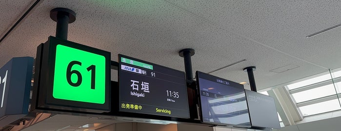 Gate 61 is one of 羽田空港(Haneda Airport, HND/RJTT).