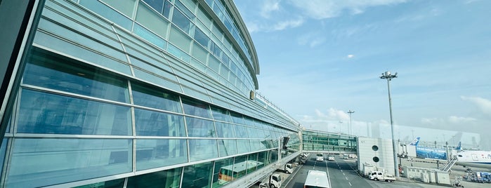 Gate 62 is one of 羽田空港(Haneda Airport, HND/RJTT).