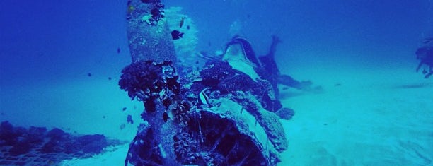 F4U Corsair Wreck Dive Site is one of Oahu.