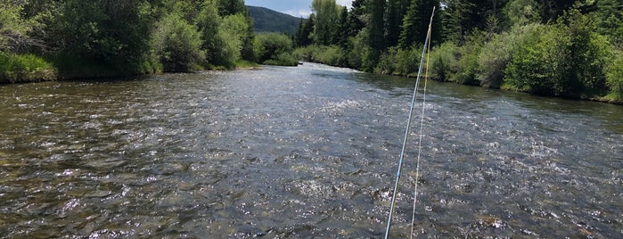 Blue River is one of CO Fly Fishing.