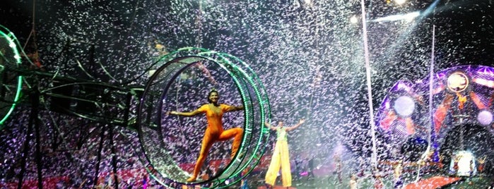 Ringling Bros. And Barnum & Bailey Circus is one of FUN.